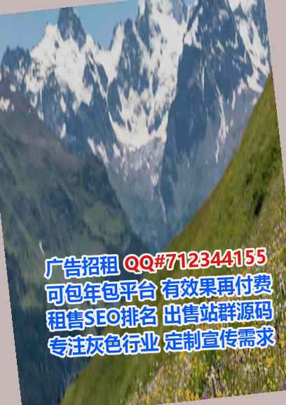 汉滨代母集成电路经营部